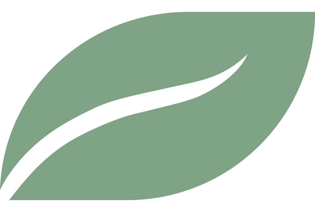 https://www.micronclean.com/assets/images/common/Leaf_light_green.png